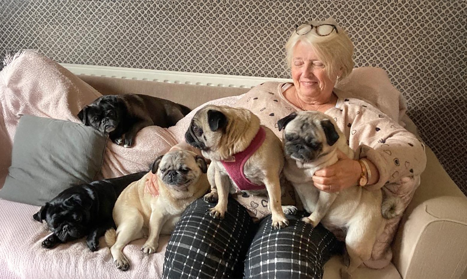 Nicola and her pugs