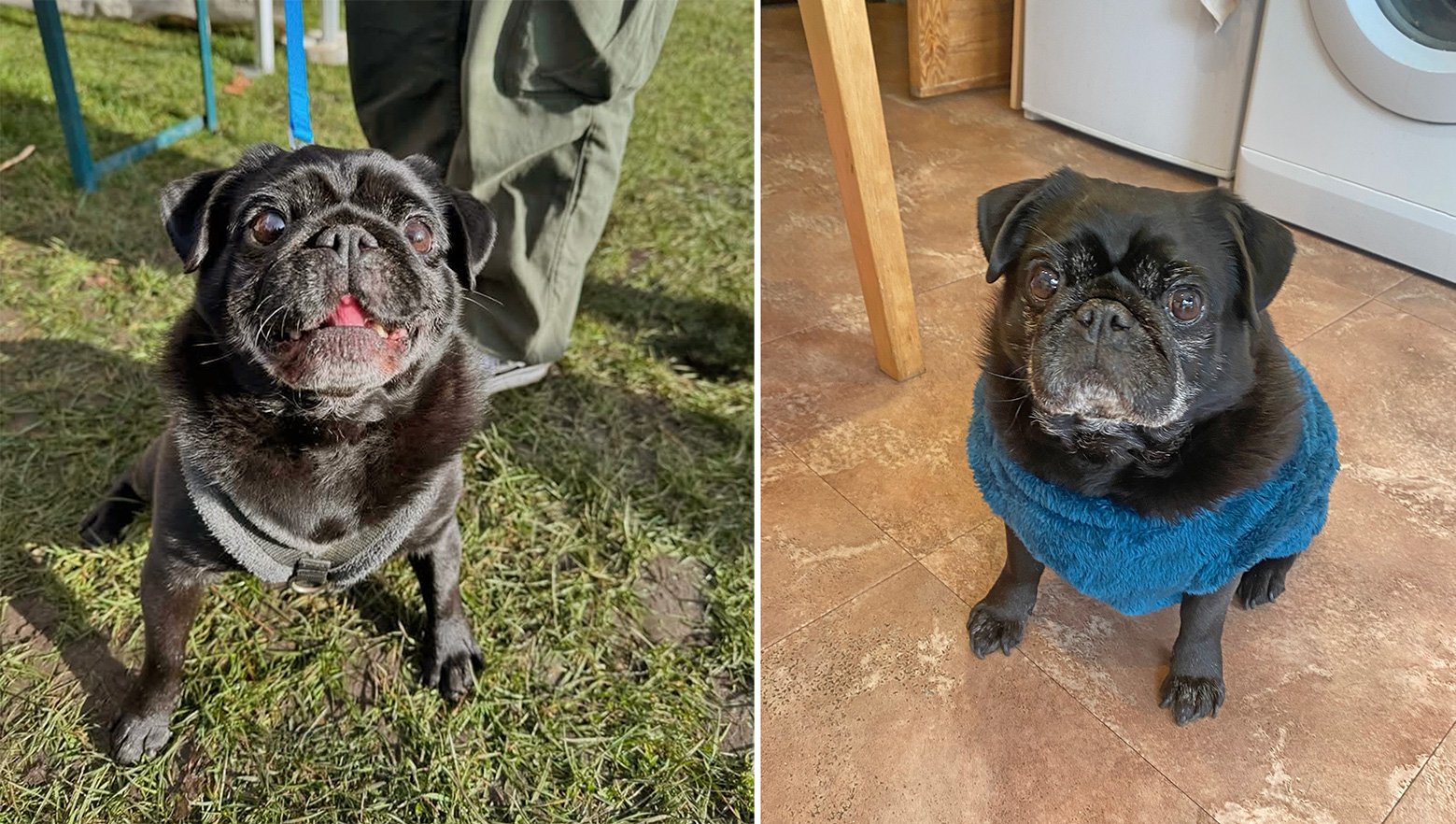 Pat is a very handsome boy
