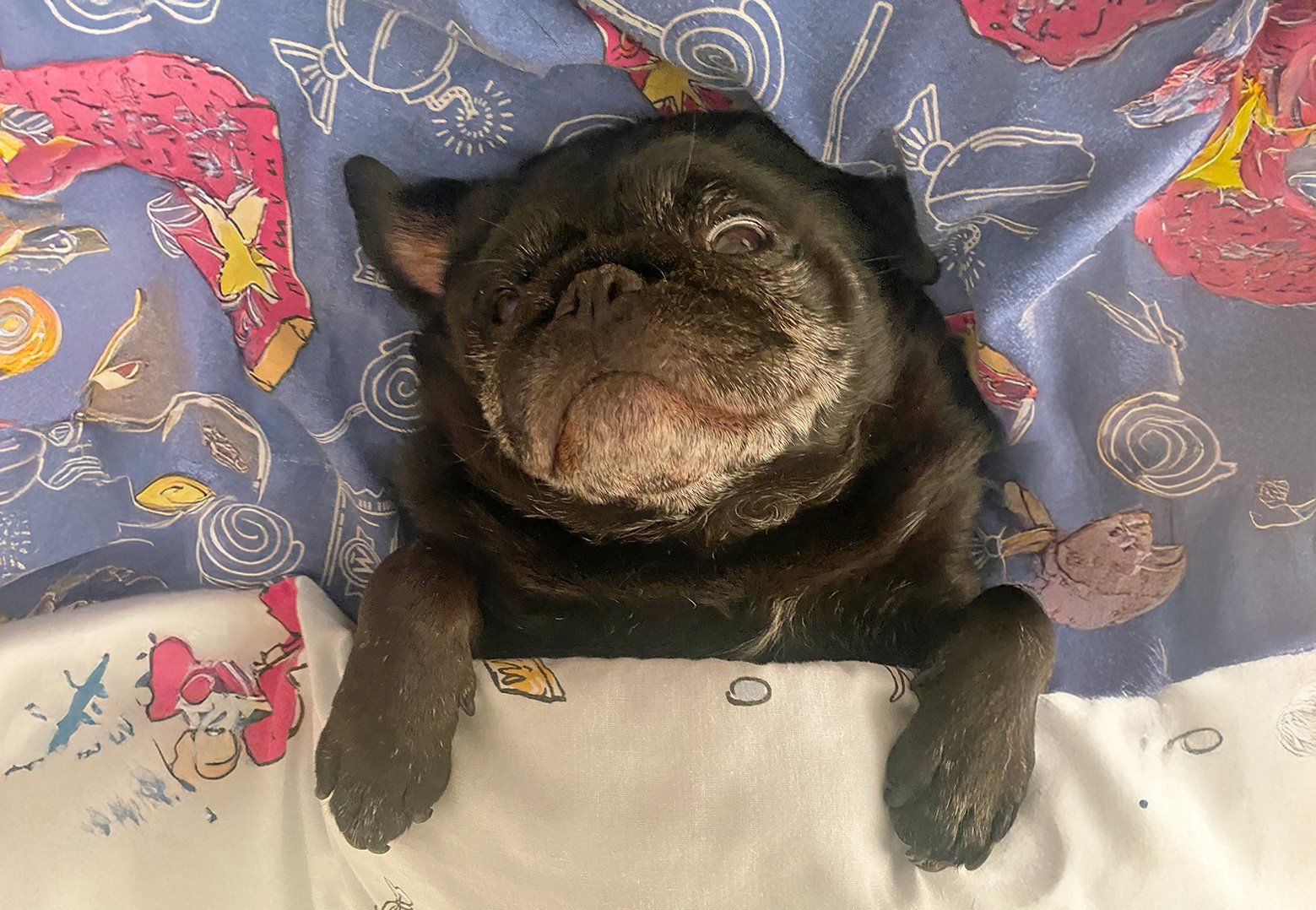 Pat tucked up in bed