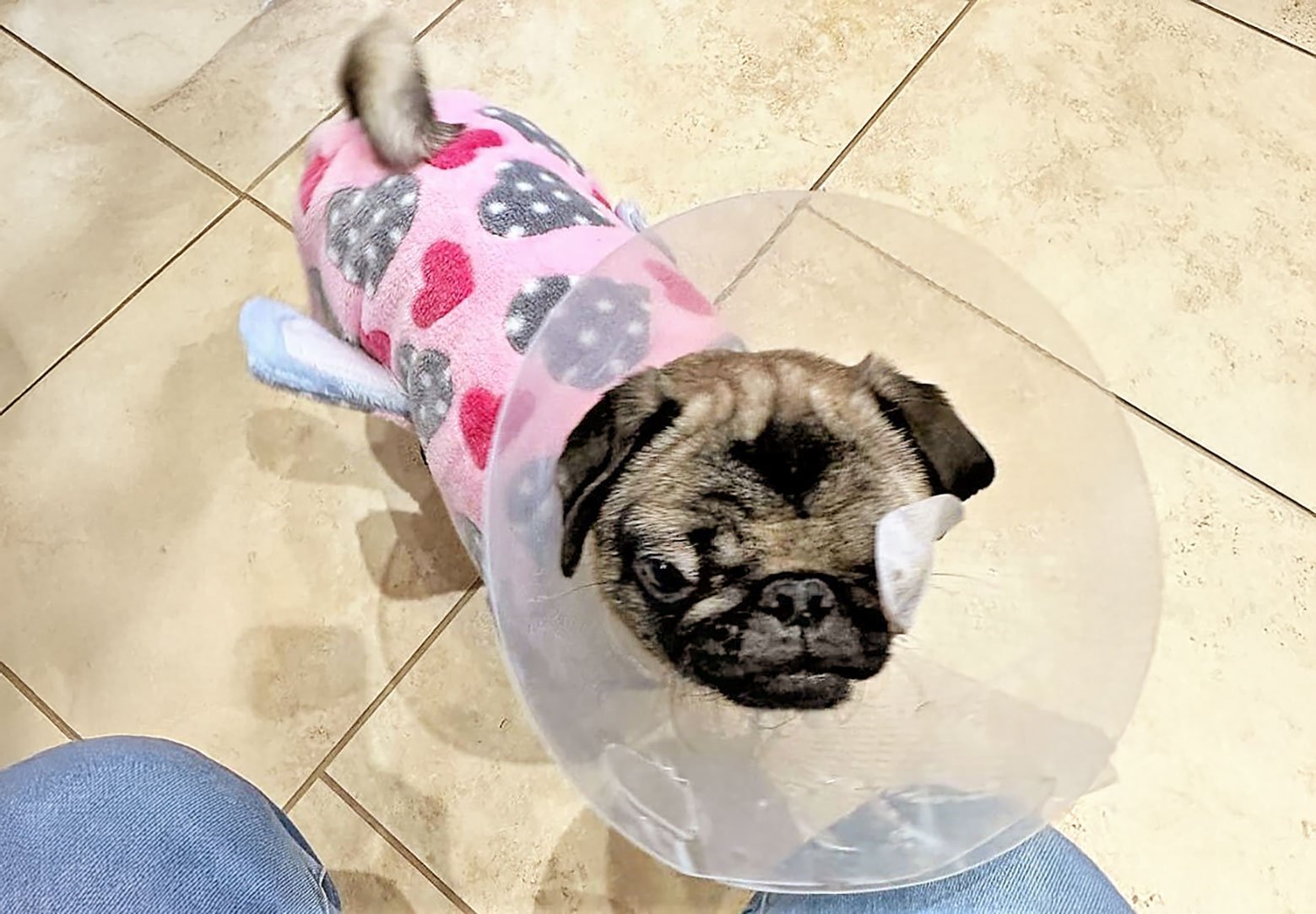 Rescuing poor Peppa