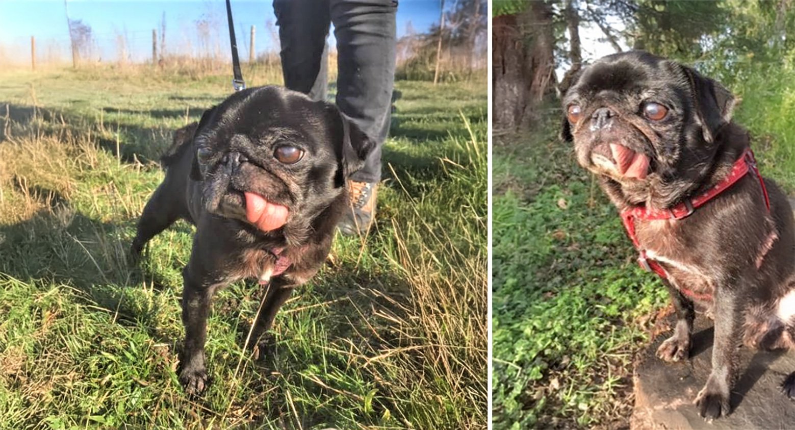 Phoebe's Story
