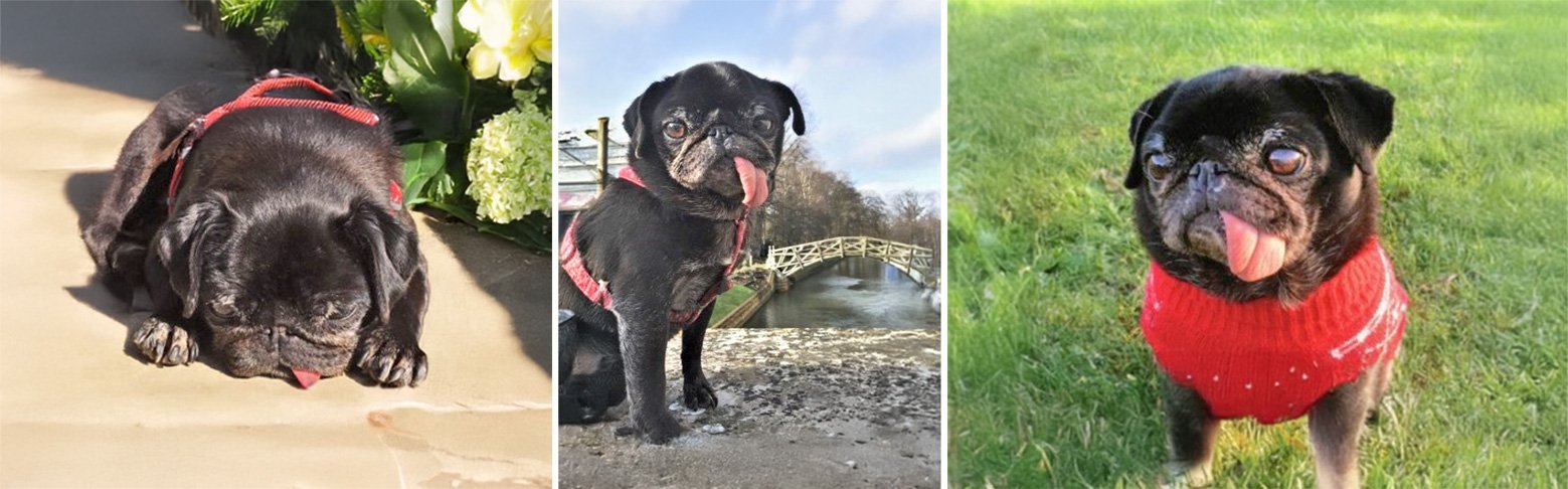 Phoebe's Story