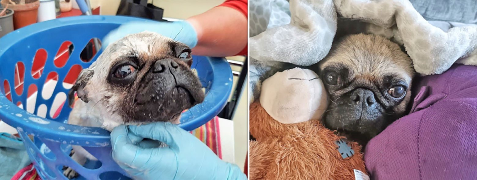 Quinn’s progress, aided by your generous support!