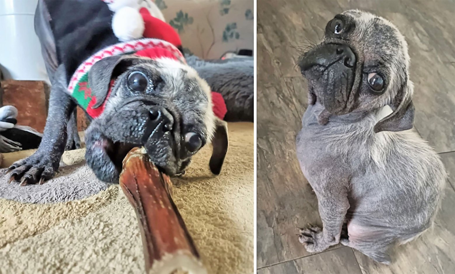 Quinn’s progress, aided by your generous support!