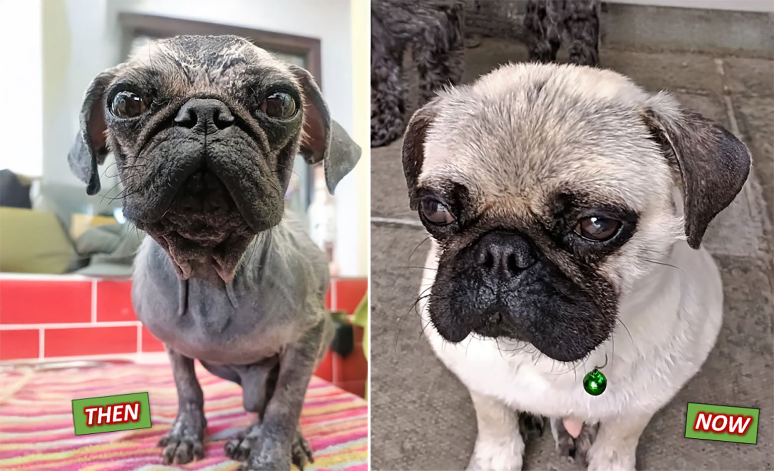 Quinn’s progress, aided by your generous support!