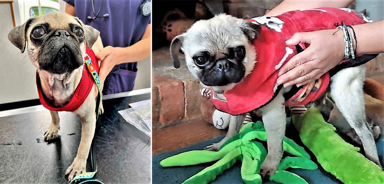 Quinn’s progress, aided by your generous support!