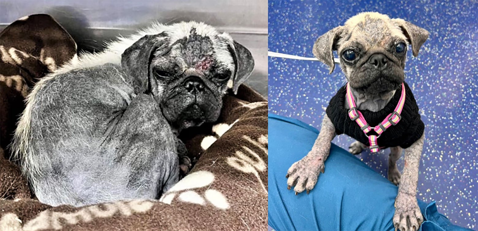 Quinn’s progress, aided by your generous support!