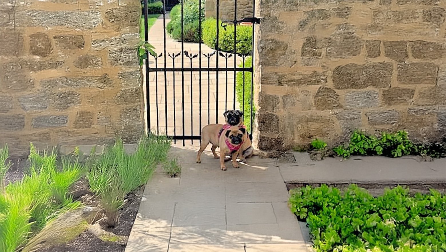 Ronnie and Freddie's New Home