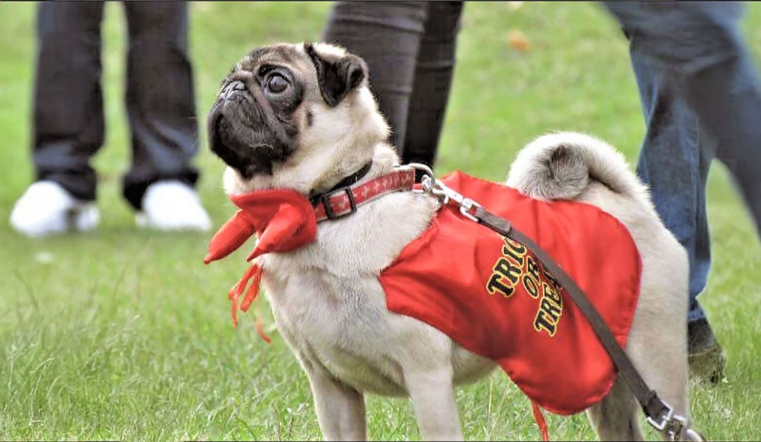 Sheldon Pugglewin