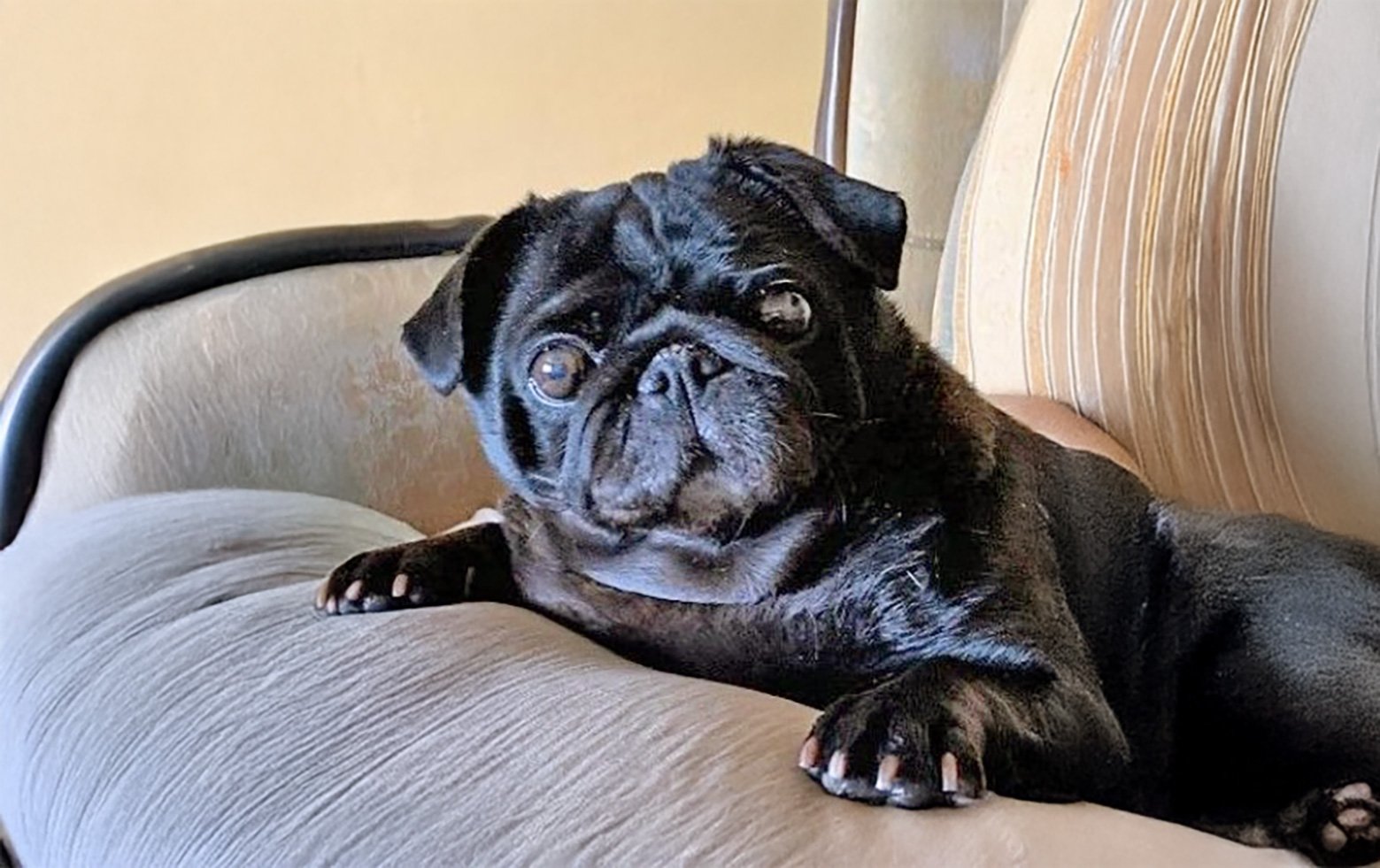 Stella gets in shape!