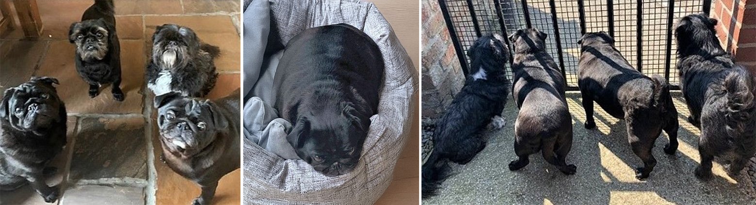 Stella gets in shape!