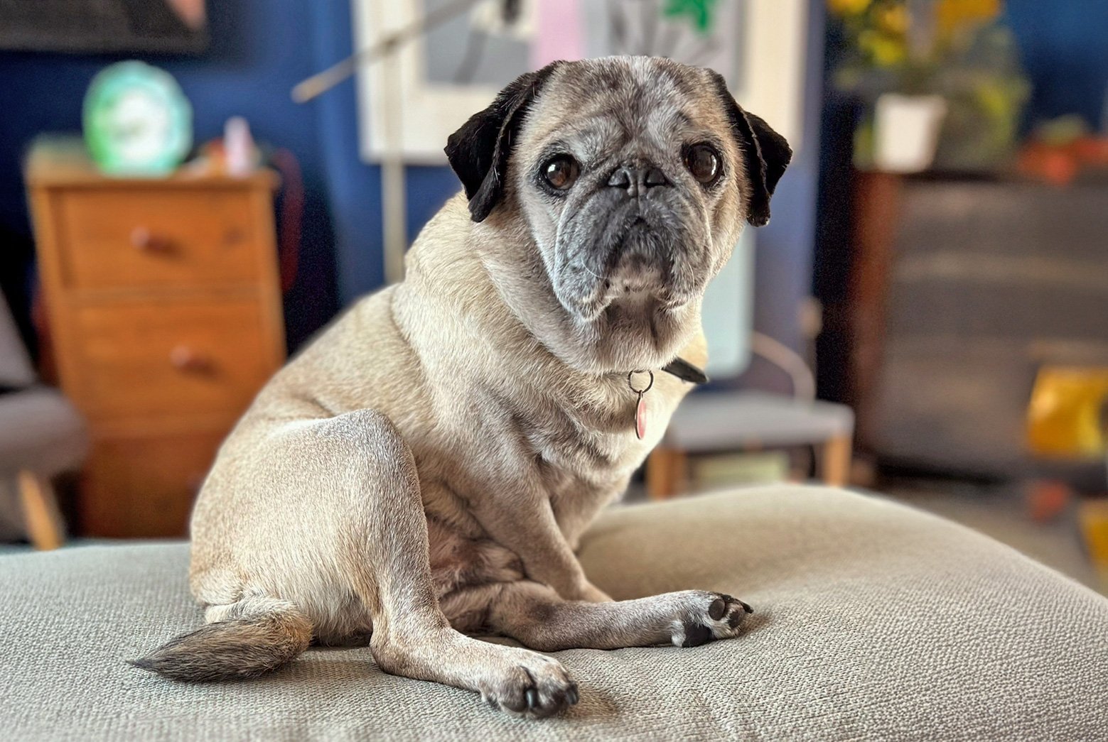 Ted just chilling at home