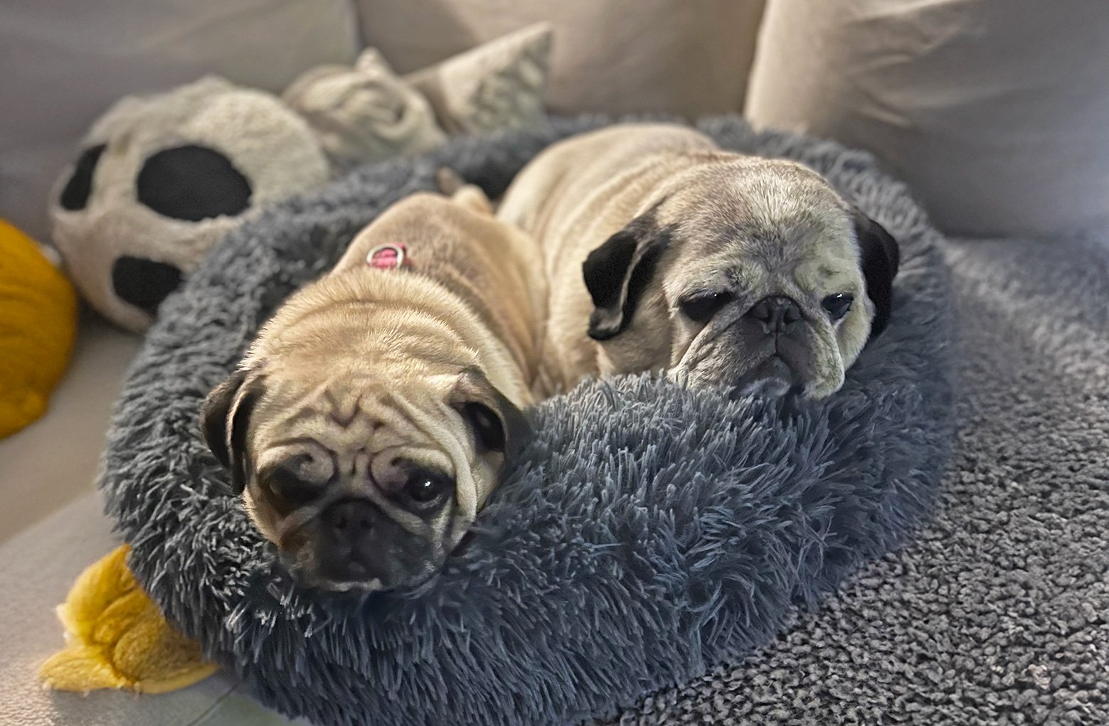 Ted hanging out with his best friend