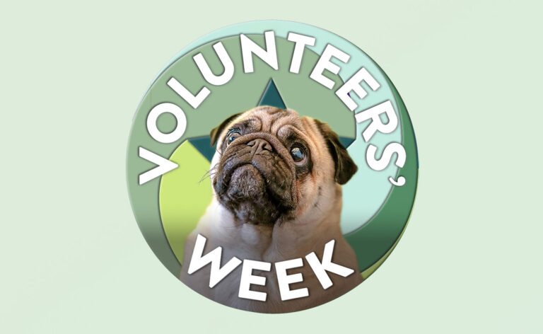 Volunteers’ Week 2026 is a time for us to say thanks to all of our wonderful volunteers