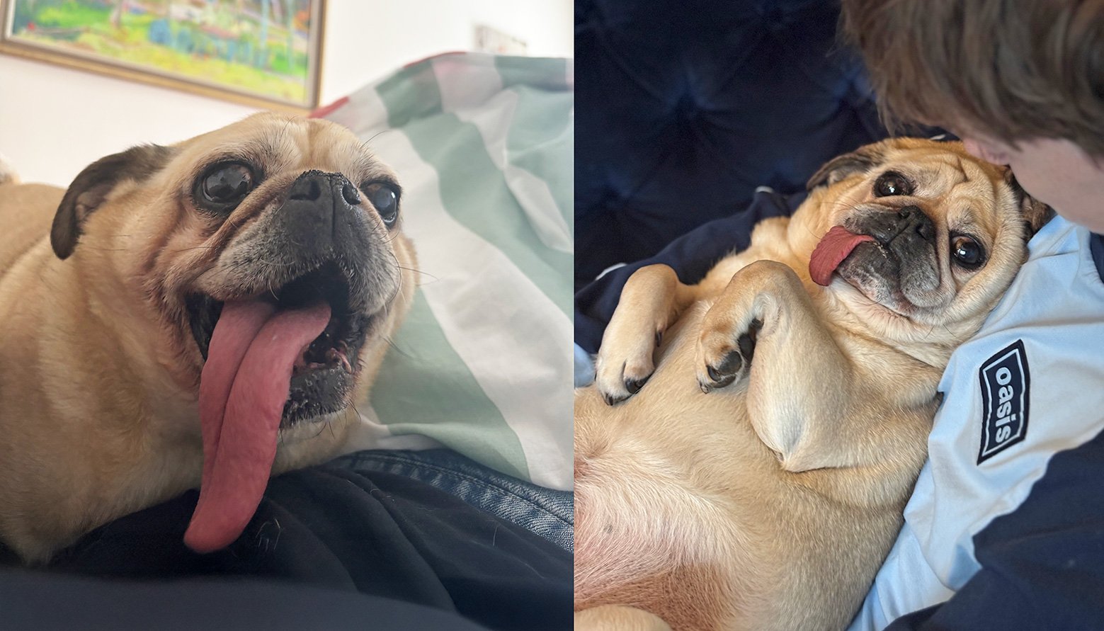 Vito is living his best life