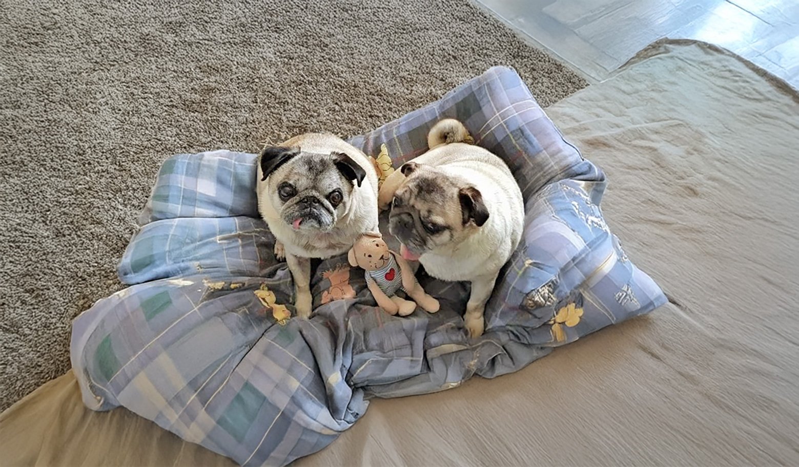 Walter and Millie’s Story