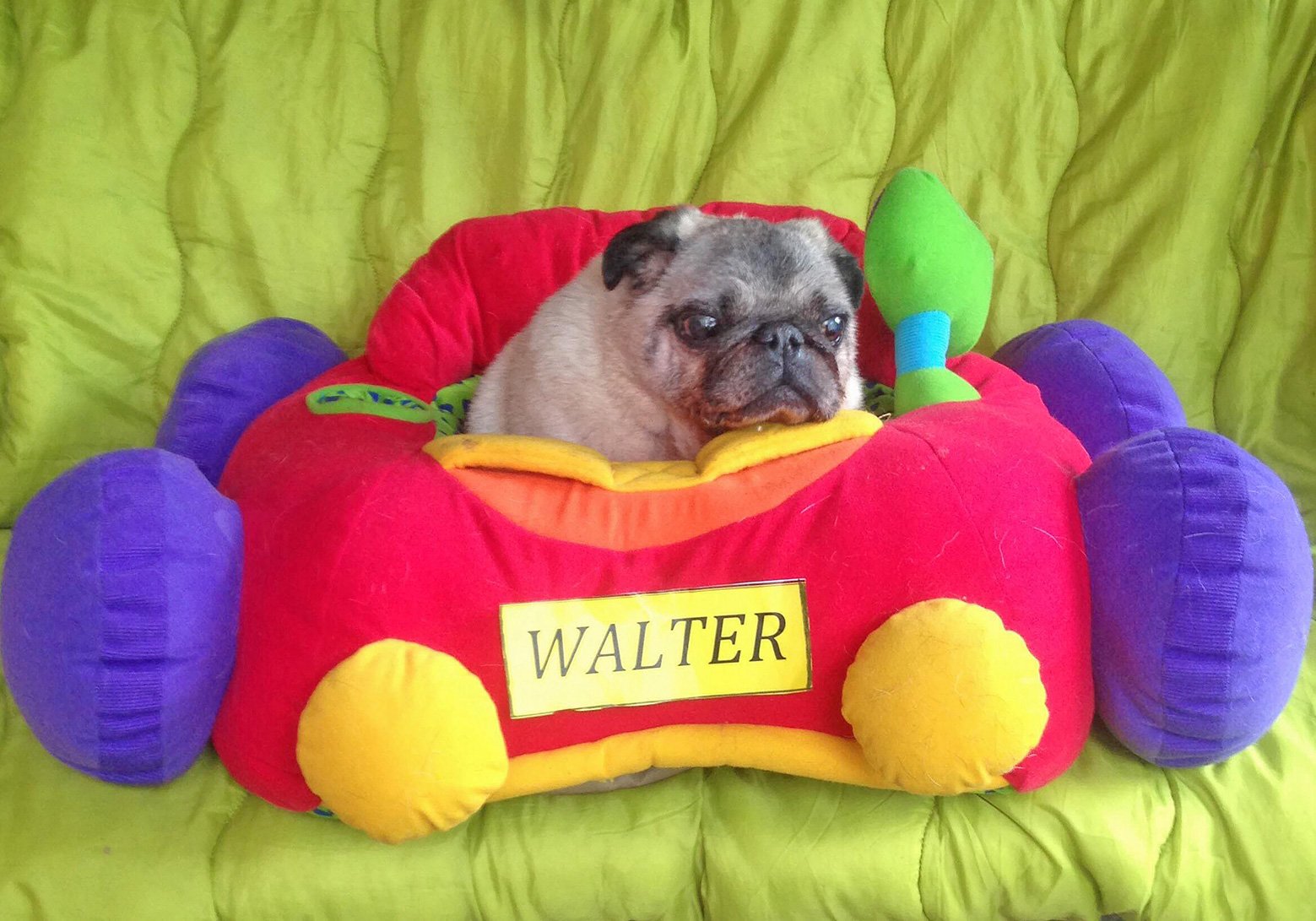 In Memory of Walter