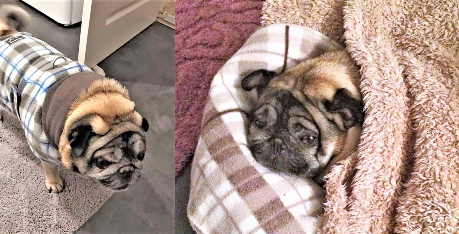 My Winston!