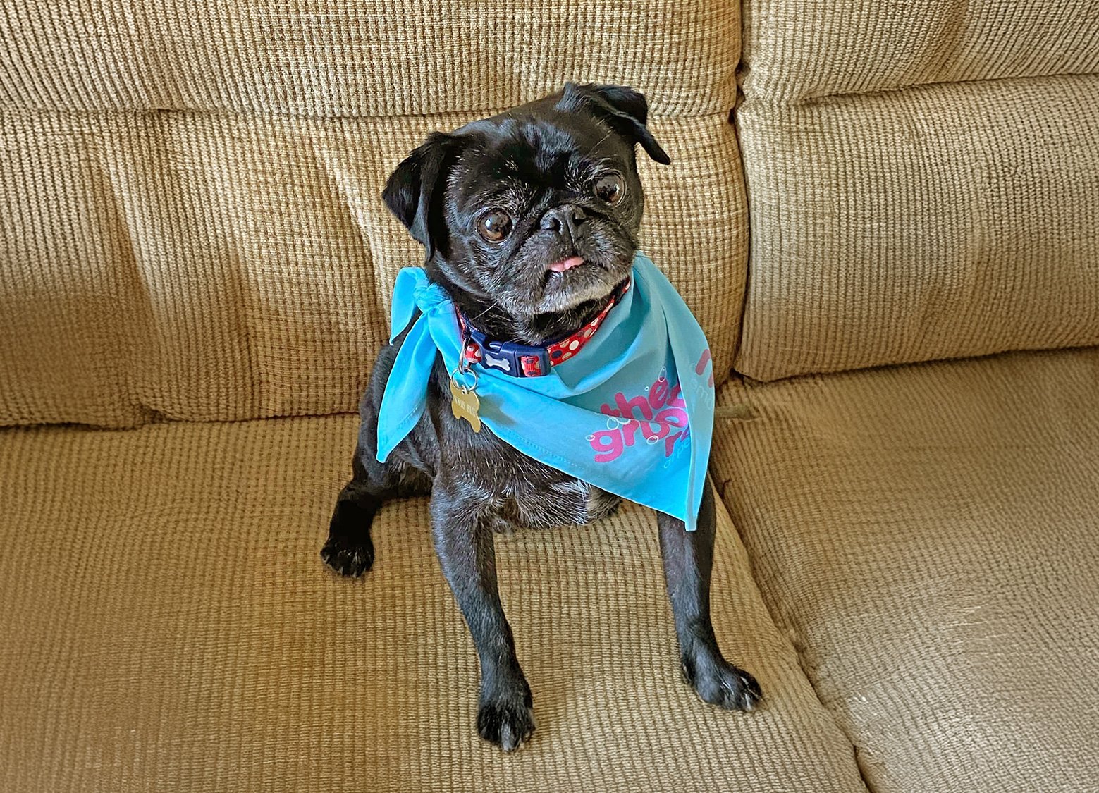 Bobby is a handsome chap