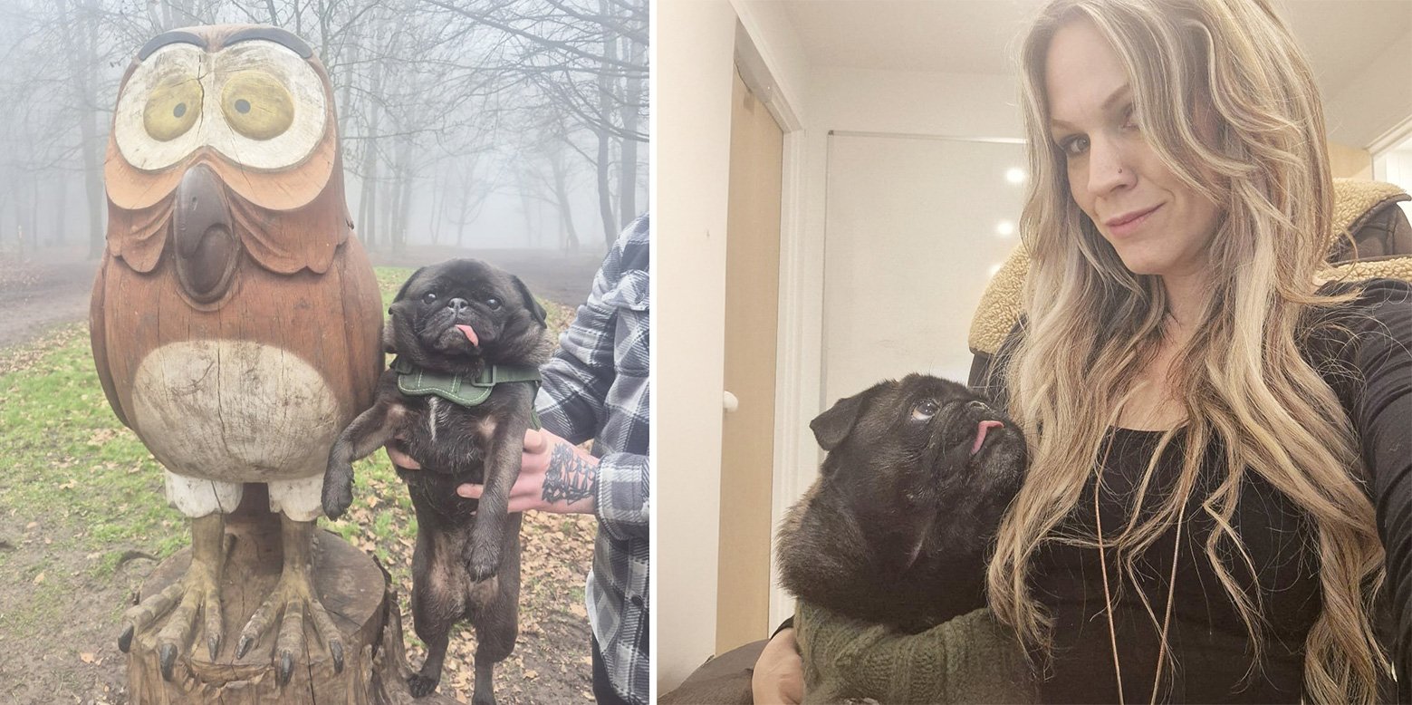Pig living her best life
