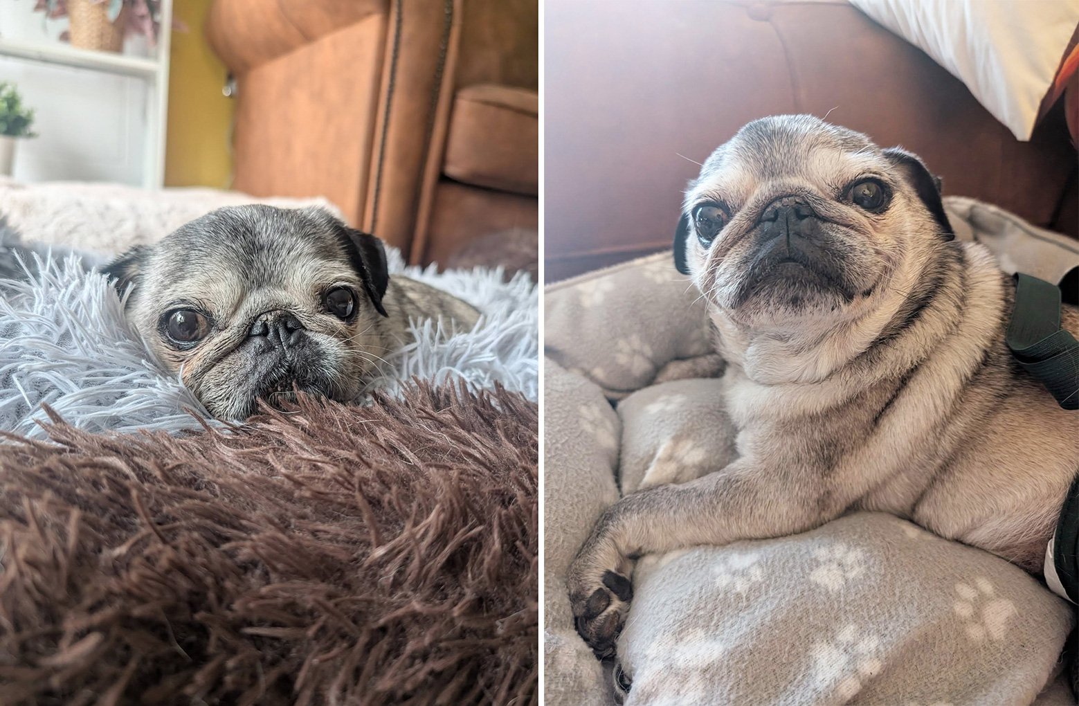 In Memory of Winnie
