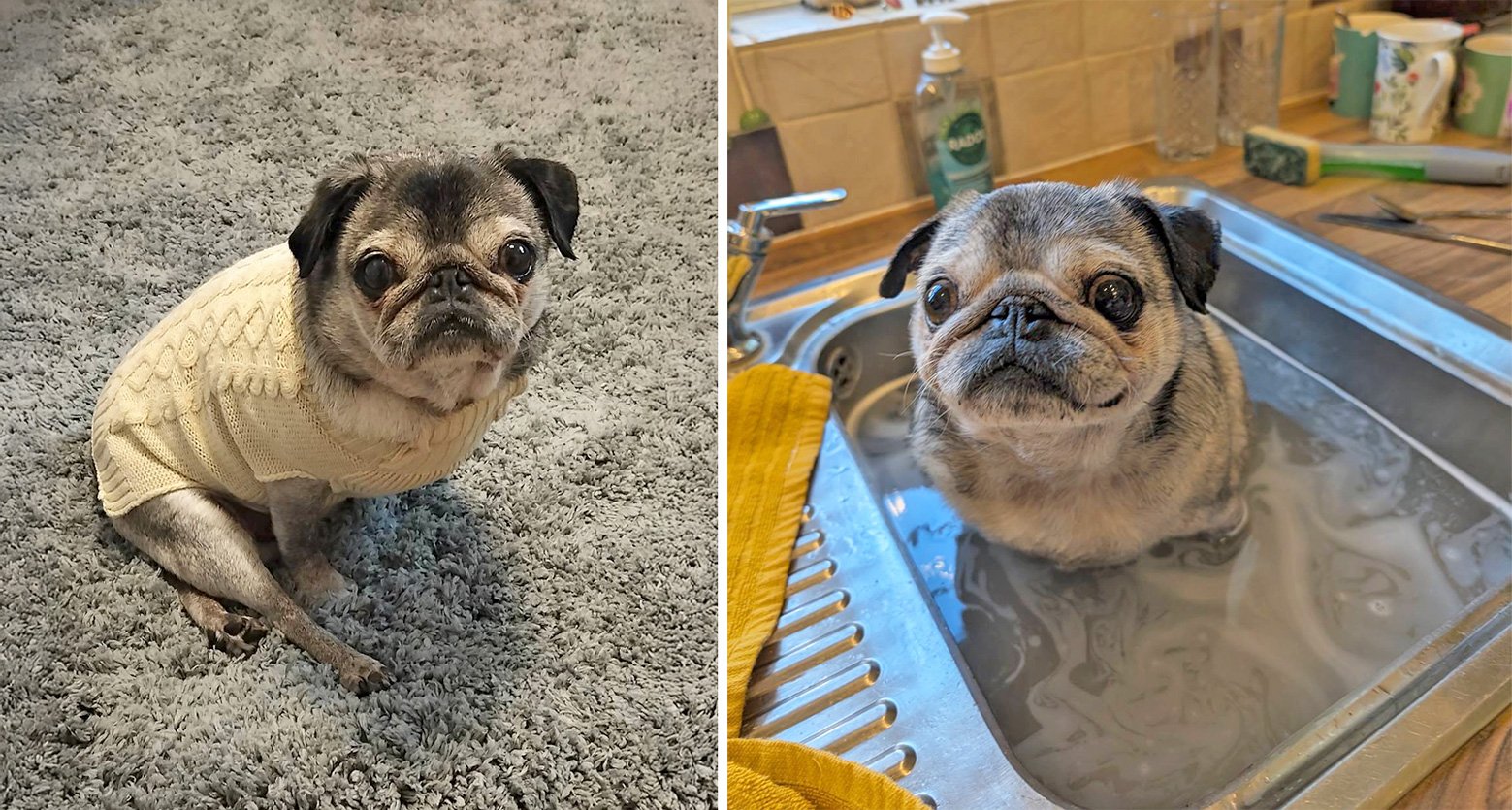 In Memory of Winnie