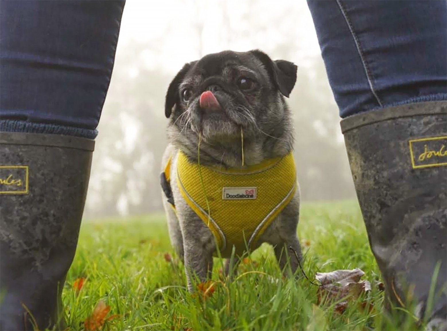 In Memory of Winnie