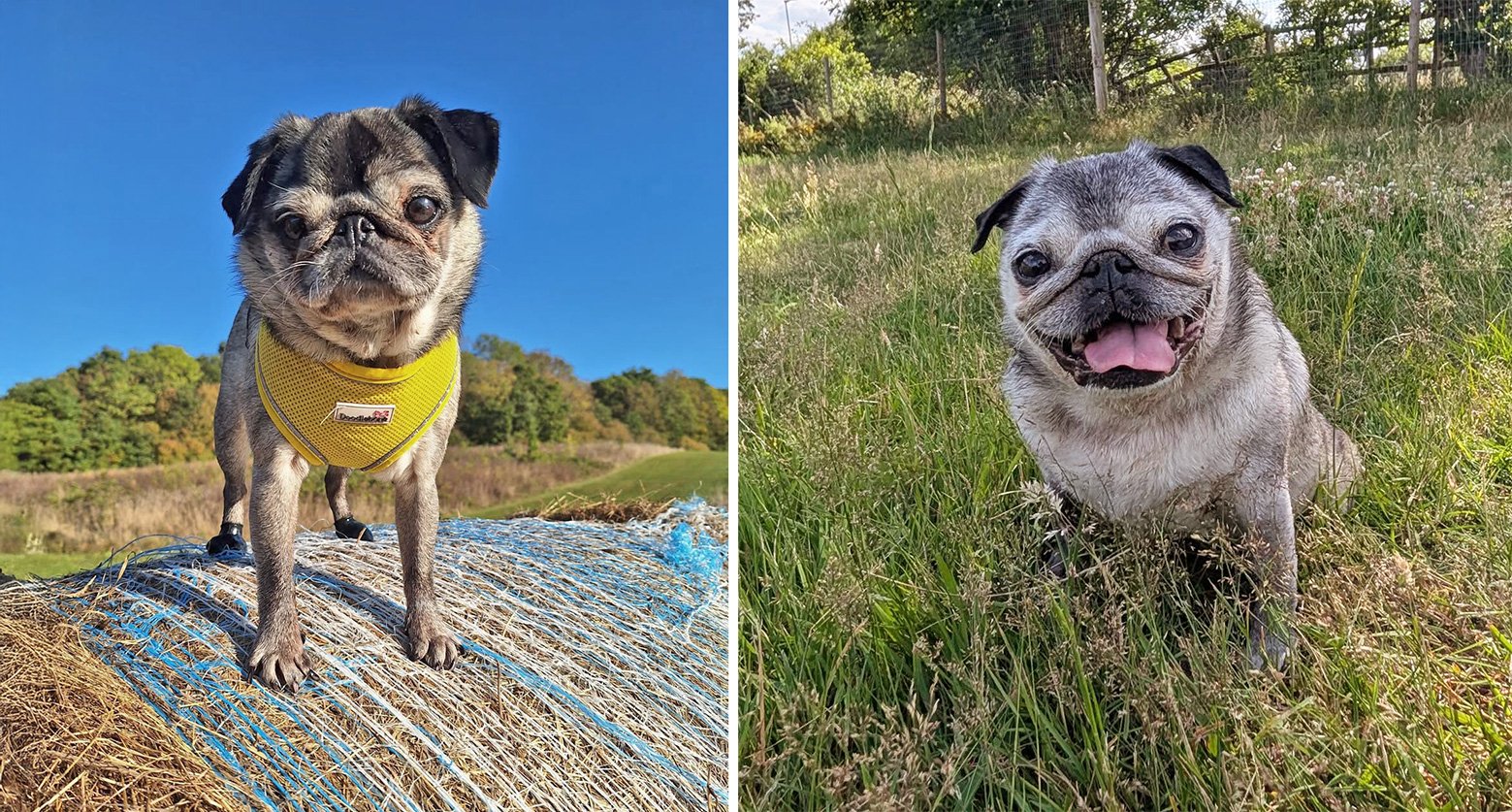 In Memory of Winnie