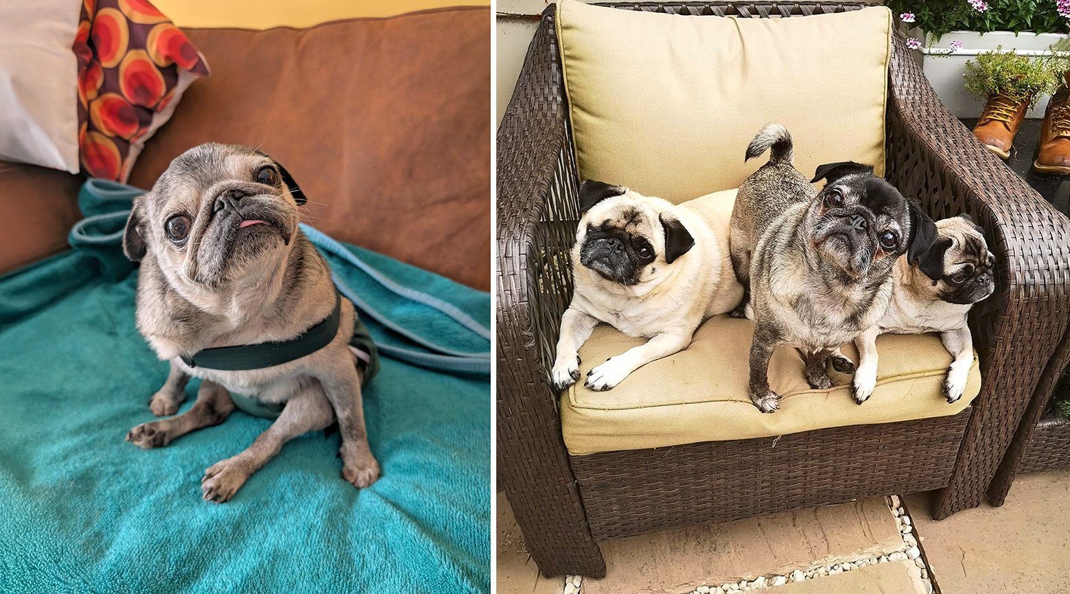 In Memory of Winnie