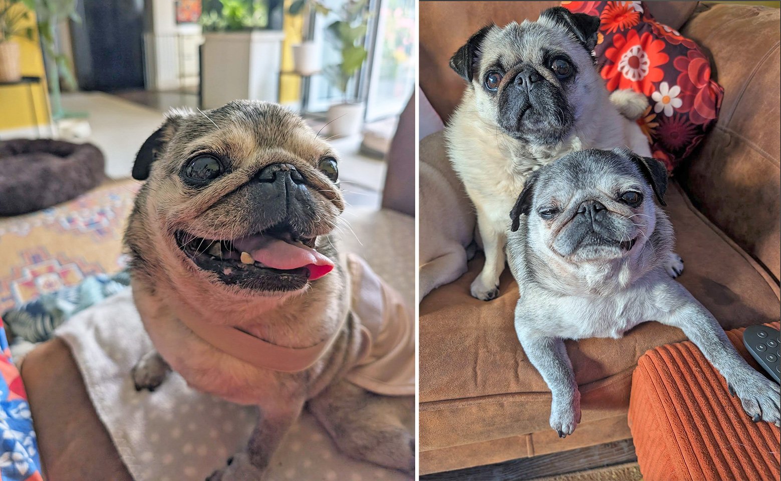 In Memory of Winnie